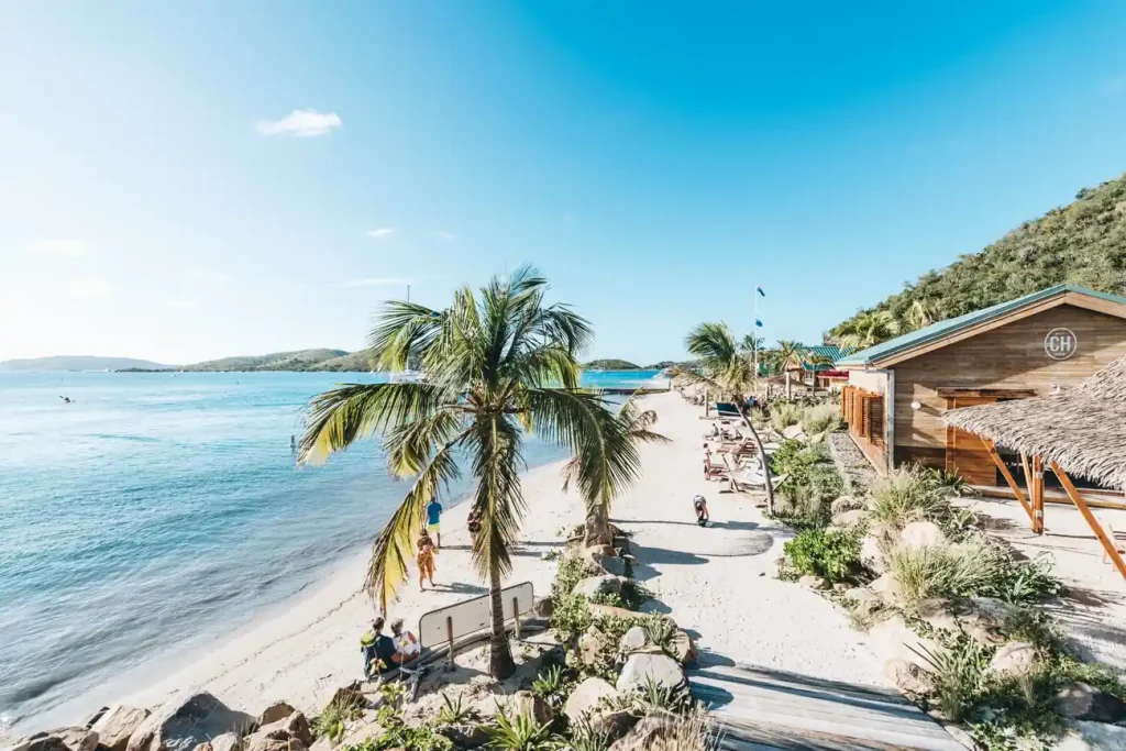 Beachfront view of Bitter End Yacht Club Beach with palm trees, white sand, and calm turquoise waters in the British Virgin Islands, showcasing why the best time to visit the BVI for the best British Virgin Islands resorts
