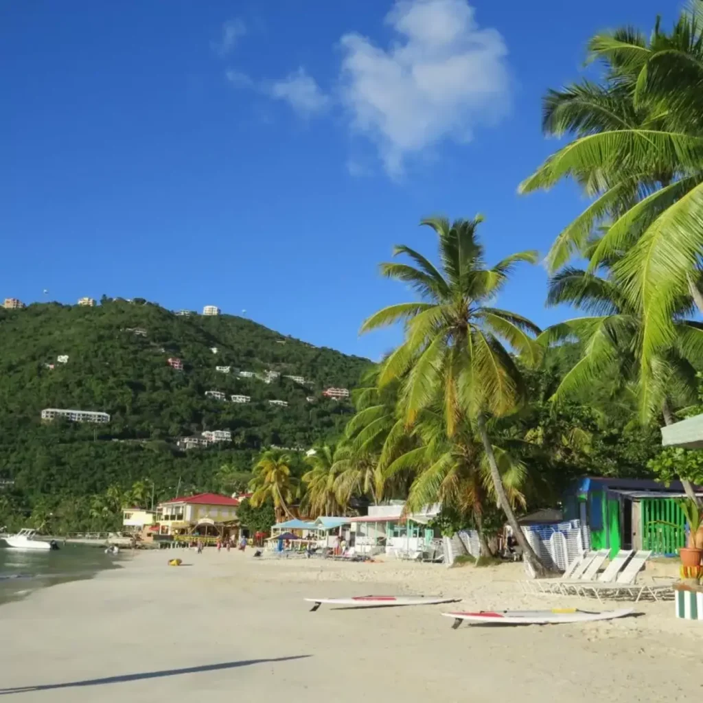 Palm trees along Cane Garden Bay beach, Tortola.