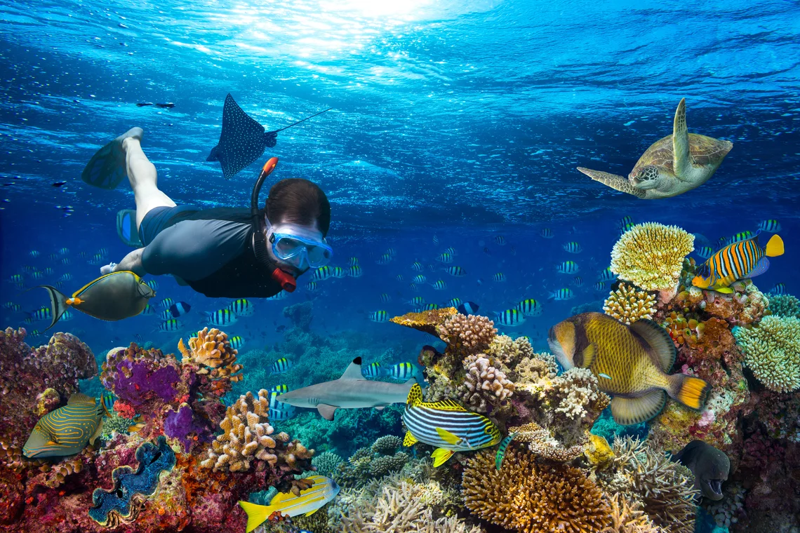 bvi scuba diving