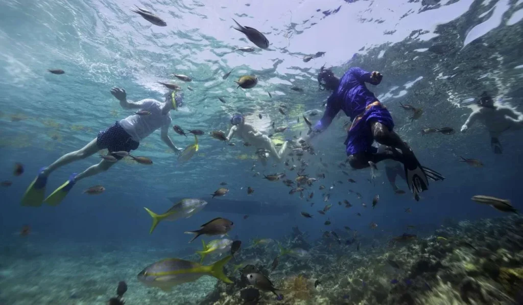 Snorkeling