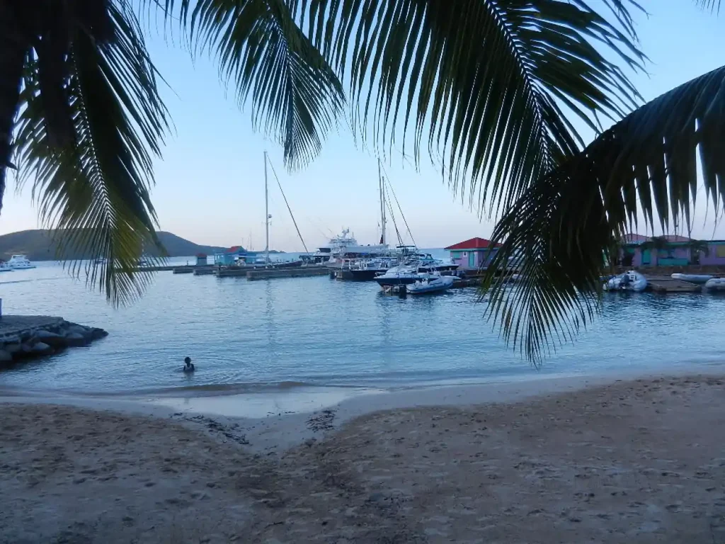 Beach and marina view framed by palms near Christmas in July BVI festivities